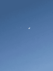 장애와 불능증이여도 사랑은 있잖아?