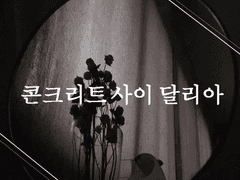 콘크리트 사이 달리아 1