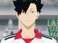 전 : 고양이 후 : 푸른 잎...? (中)