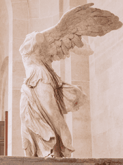 코드 그레이-코드 블랙-코드 클리어