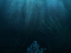 학교의 수업은 재미가 없다.