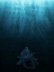 잡문:귀납:의식