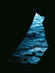 박제된 여름의 호흡법