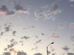 모든 일이 매듭 진 아침에