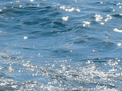 이비 글 커미션