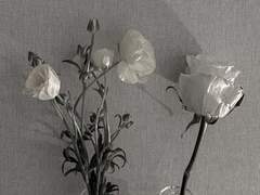 I love you just the way you are.