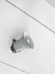 저는 그렇습니다