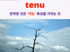 tenu