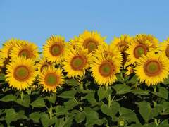 담유연 | 여 | 19 | B