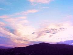 후회하는 자에게 남은 것