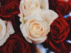 002. Scent name W. 유령마녀