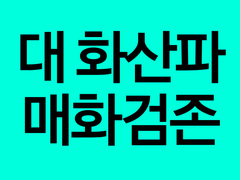 [대 화산파 매화검존]