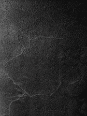 자캐 서사 및 여러 연성들