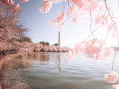 사랑은 절대 한심한 게 아니야