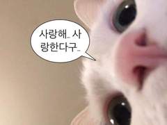 한빈×우현 카톡 훔쳐보기 1