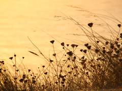 그건 별로 유쾌하지 않아. 사랑에 대해 쉽게 읊는 거 말이야.