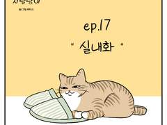 🐱우리집 지랄냥이 : 17화🐱