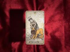 이번 주의 카드: Strength