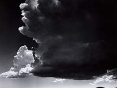 내일 세상이 바다로 뒤덮인다고 해도