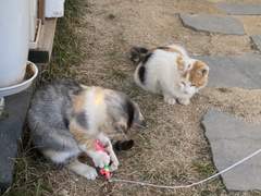 영원히 작년에 머물고 싶다