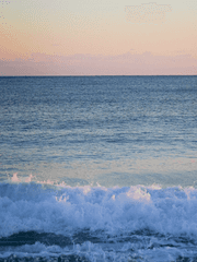 주술고전에 강제로 편입된 드림주의 이야기