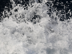 작곡가 장하오 X 작사가 성한빈 中