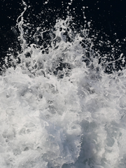 작곡가 장하오 X 작사가 성한빈