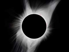 [호열백호] 검정이 싫어