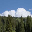 말랑자두 좋아해요