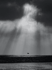 천사의 축복을!