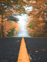 하이큐 끄적끄적