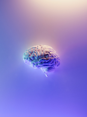 페이스엠 시티는 언제나 평화롭다.