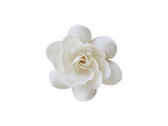 두근두근 백화고!!