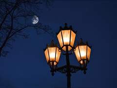 [우마무스메] 비와 하야히데 드림- 작은 아이