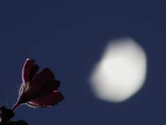 너의 이름은 / 하나