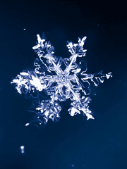 Aeternum : 시간의 연대기