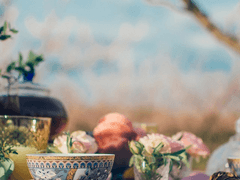 이상한 나라의 제이