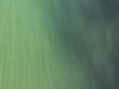 [킨키 KT] 물고기와 바다