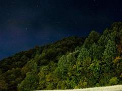 현철명헌 <동갑내기 꼬마신랑과 신부> 외전