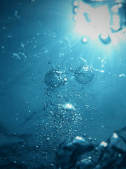 정령왕 엘퀴네스