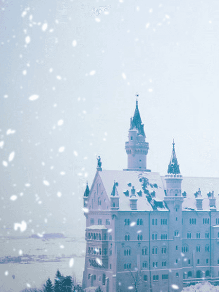 주시 불완전 마비 눈떨림