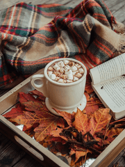 첫사랑의 그놈 시즌 2