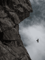 해피니스 시즌 2 (23.10.연재 예정)