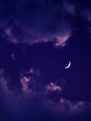 레인마슈_조각들