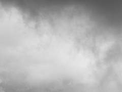 이대로 산화되어 사라진다 해도