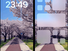 봄의 끝자락에서