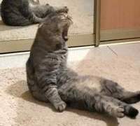 찬란(아르세니 레브)/2학년/XY/미술부 부장