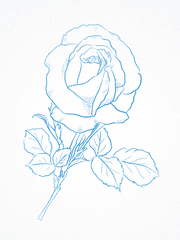 A Study in (Light) Steel Blue