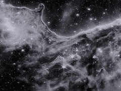 조로쿠이 | 투키즈 下