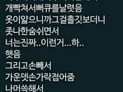 가비지타임 드림 백업